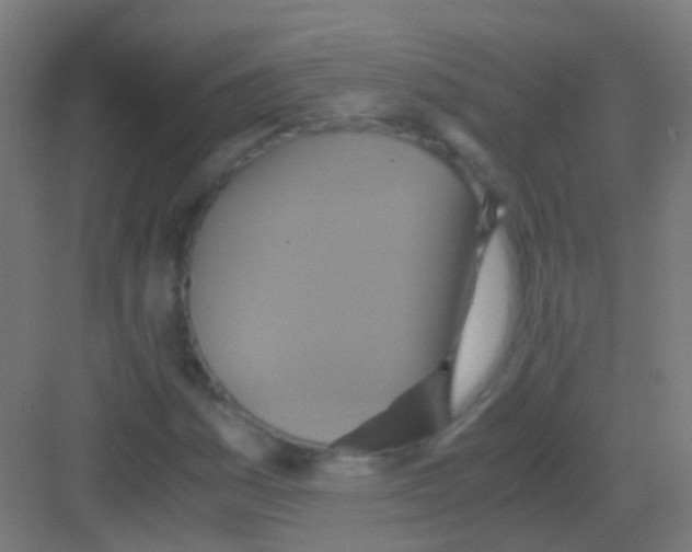 X0000081371161200702082339