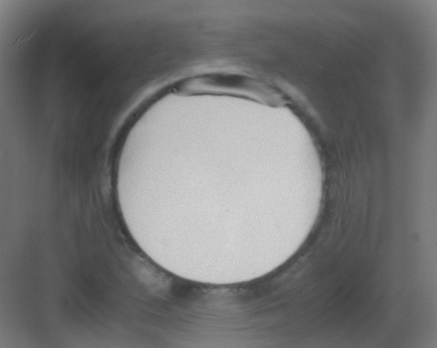 X0000081371167200702082338