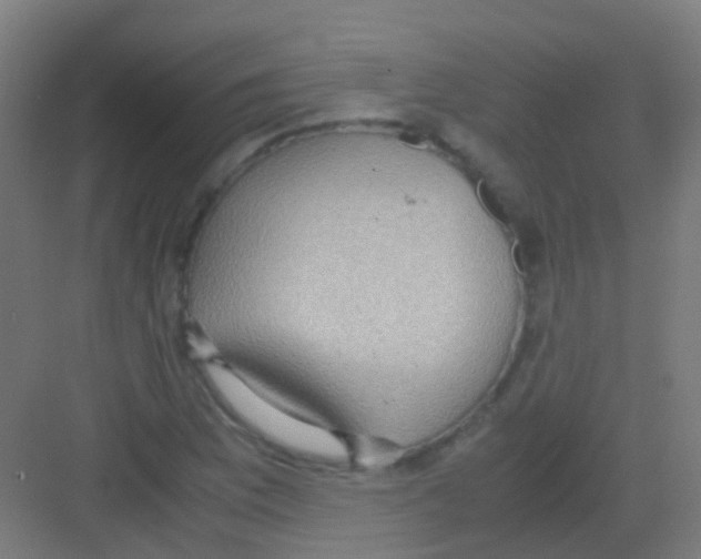 X0000081371169200702082338