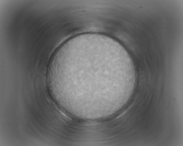 X0000081371170200702082338