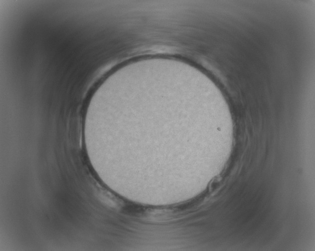 X0000081371171200702082338