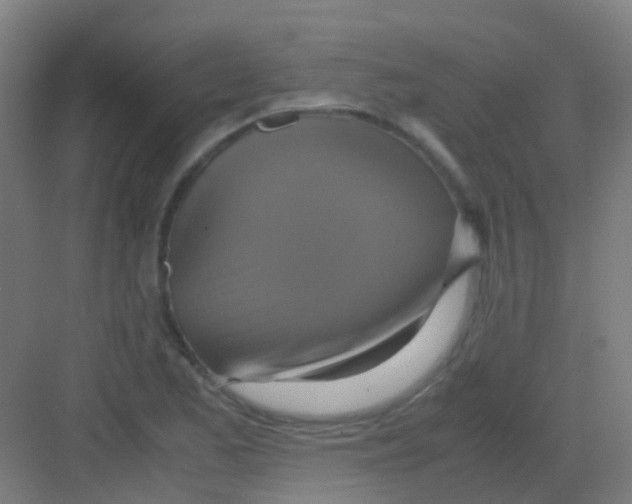 X0000081371173200702082338