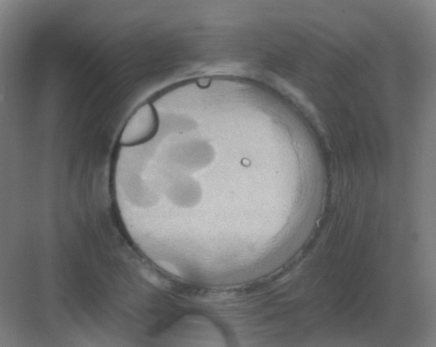 X0000081371174200702082338