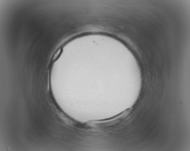 X0000081371175200702082338