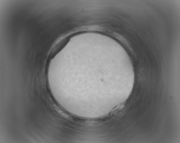 X0000081371176200702082338