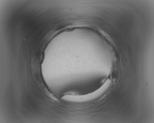 X0000081371177200702082338