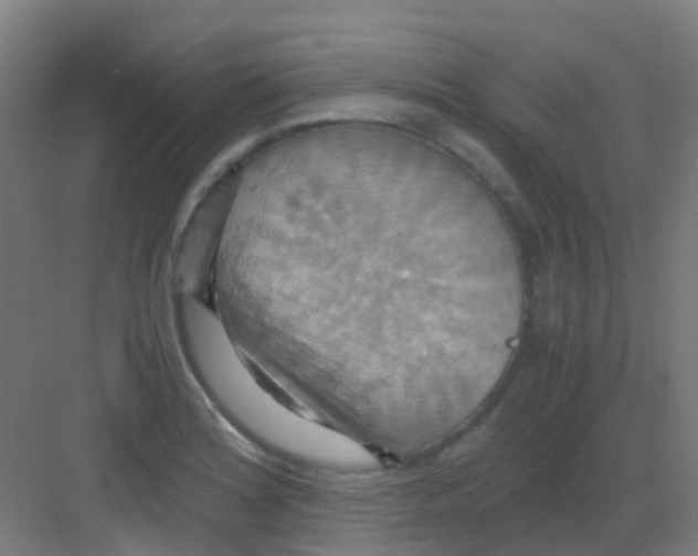 X0000081371180200702082338