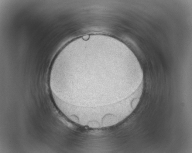 X0000081371182200702082338