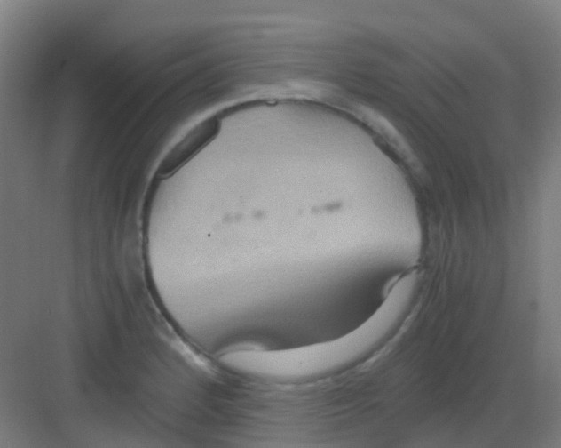 X0000081371184200702082338