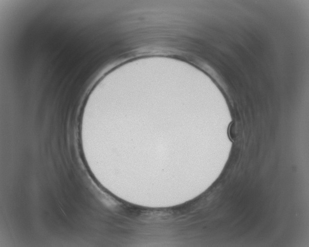 X0000081371187200702082338