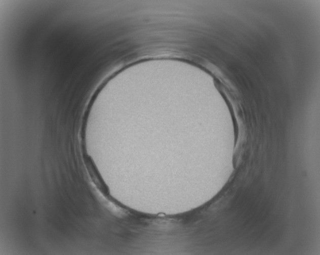 X0000081371189200702082338