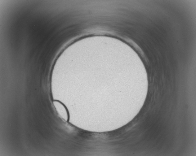 X0000081371191200702082338