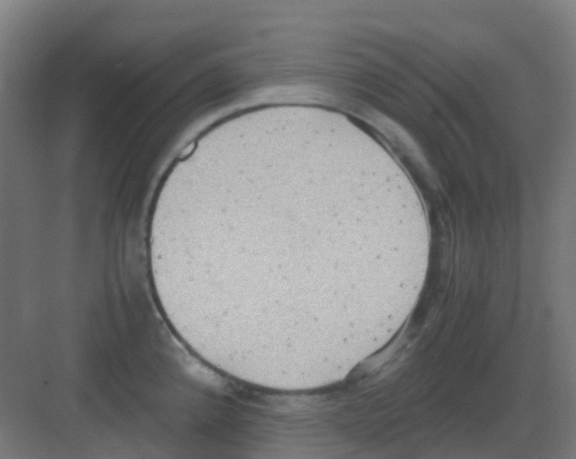 X0000081371192200702082338