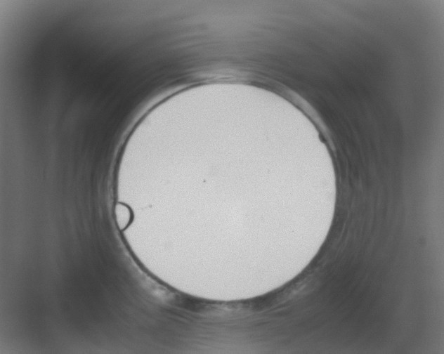 X0000081371195200702082338