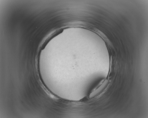 X0000081371196200702082338