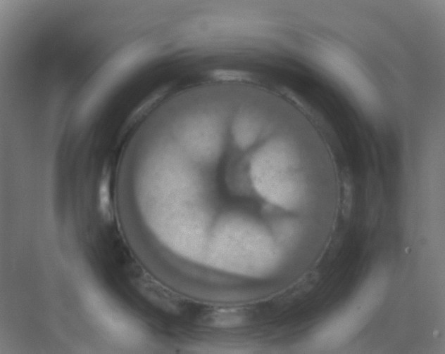 X0000081371198200702082338