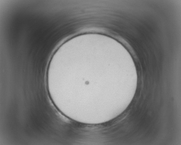 X0000081371199200702082338