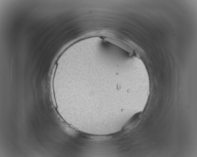 X0000081371200200702082338