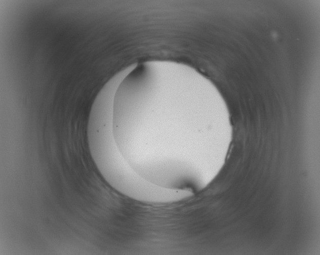 X0000081371202200702082337