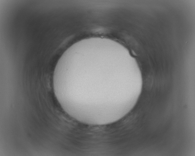 X0000081371205200702082337