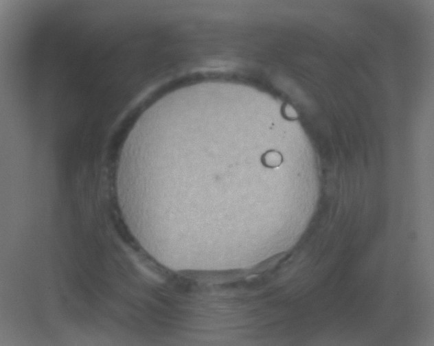 X0000081371208200702082337