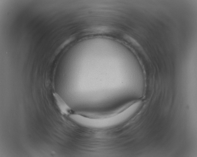 X0000081371210200702082337