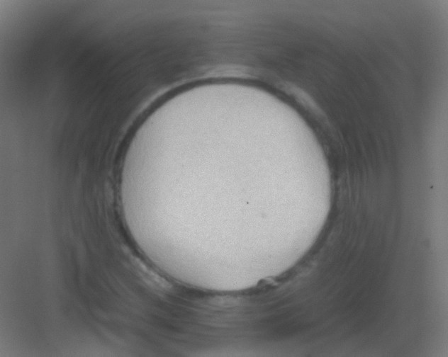 X0000081371212200702082337