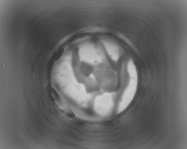 X0000081371213200702082337