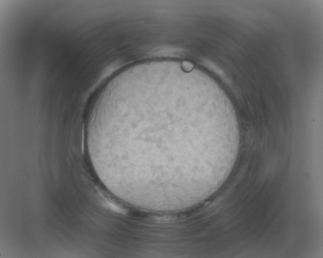 X0000081371219200702082337