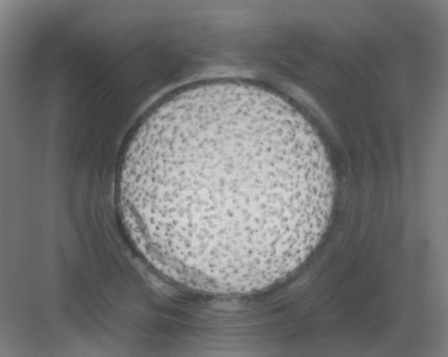 X0000081371220200702082337