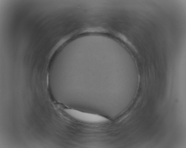 X0000081371221200702082337