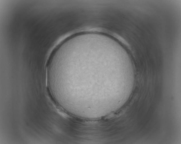 X0000081371223200702082337