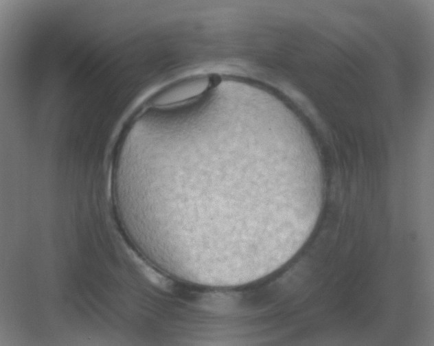 X0000081371224200702082338