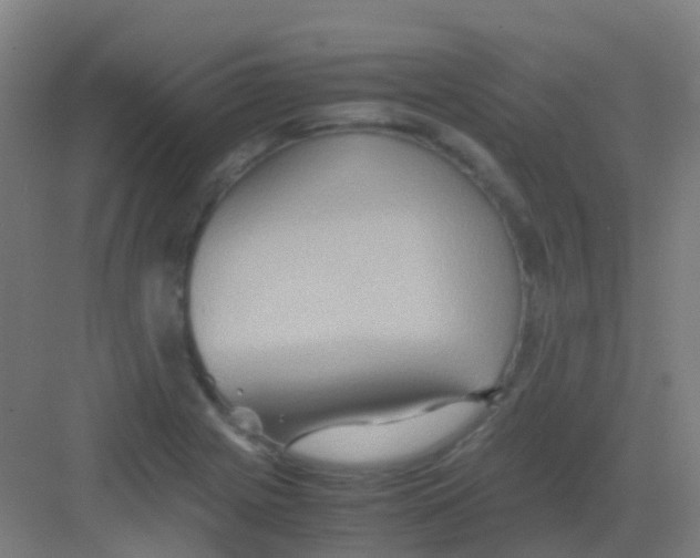 X0000081371225200702082338