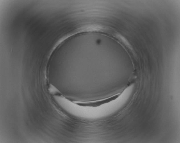 X0000081371226200702082338