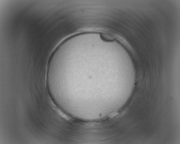 X0000081371228200702082338