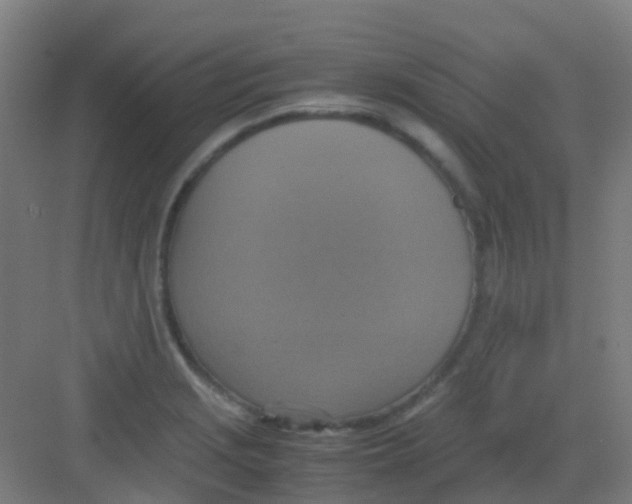 X0000081371229200702082338