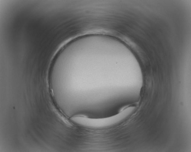 X0000081371230200702082338