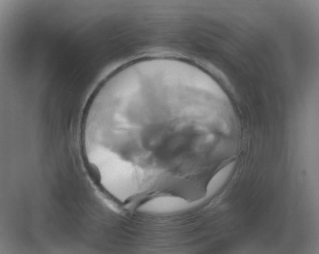 X0000081371231200702082338