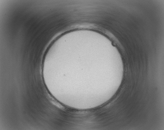 X0000081371232200702082338