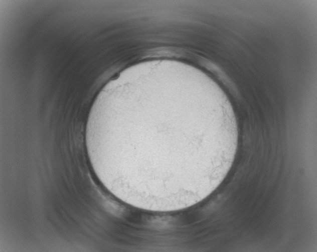 X0000081371233200702082338