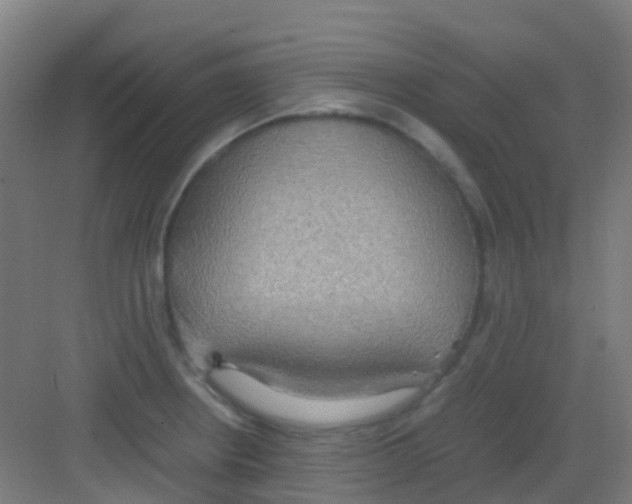 X0000081371234200702082338