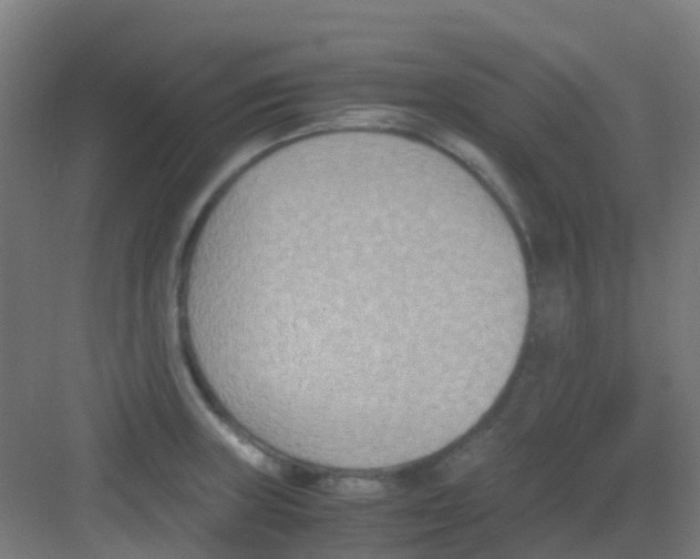 X0000081371235200702082338