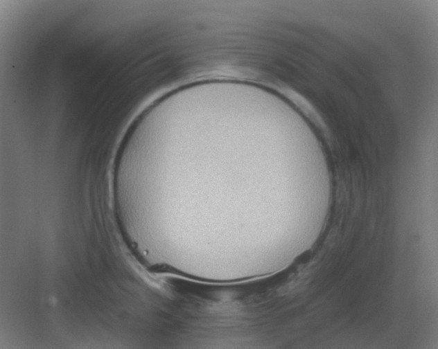 X0000081371238200702082338