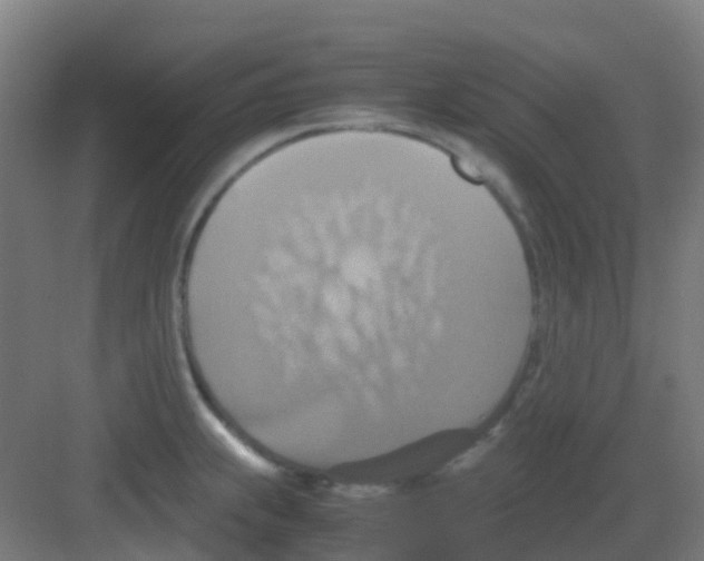 X0000081371239200702082338