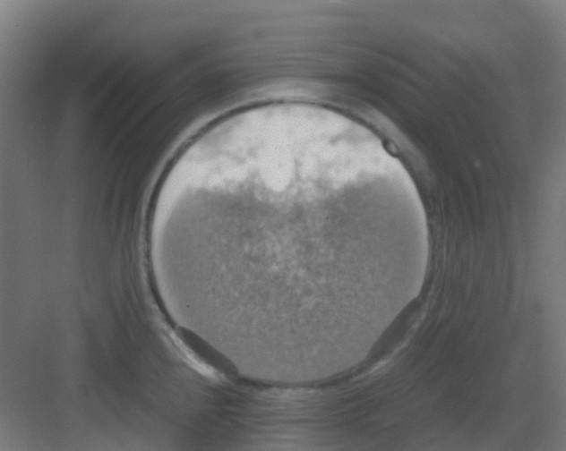 X0000081371240200702082338