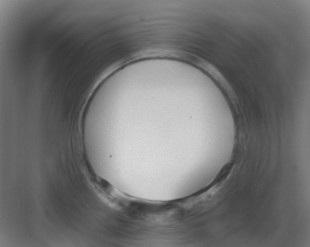 X0000081371242200702082338