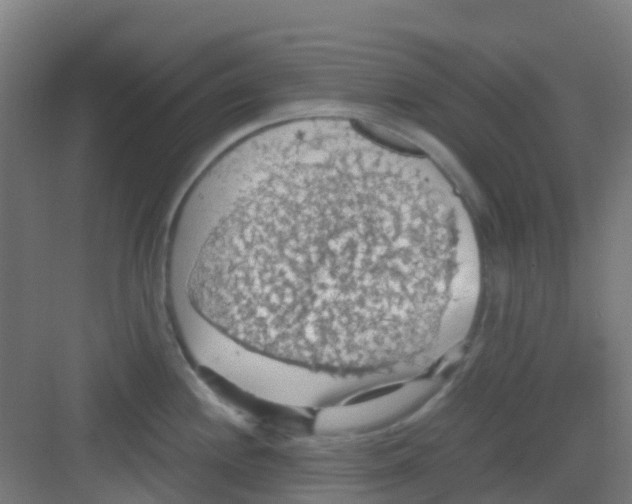 X0000081371244200702082338