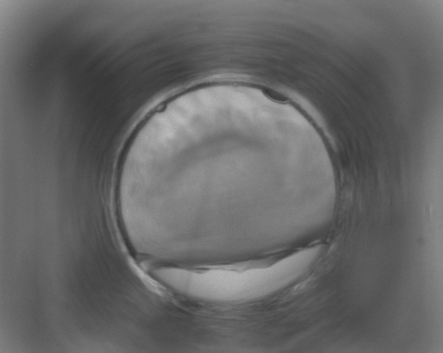 X0000081371245200702082338