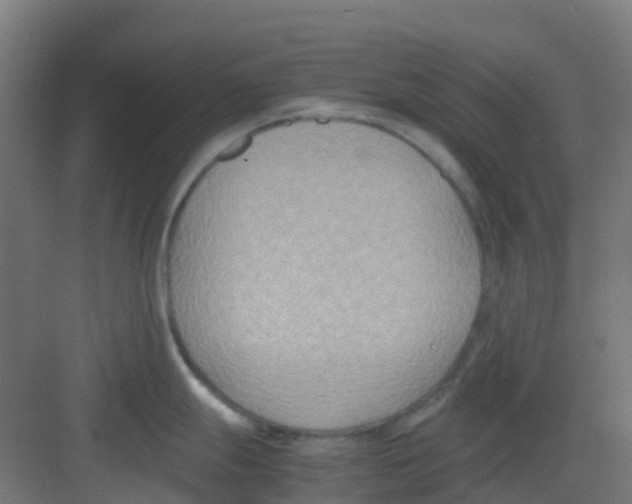 X0000081371247200702082338